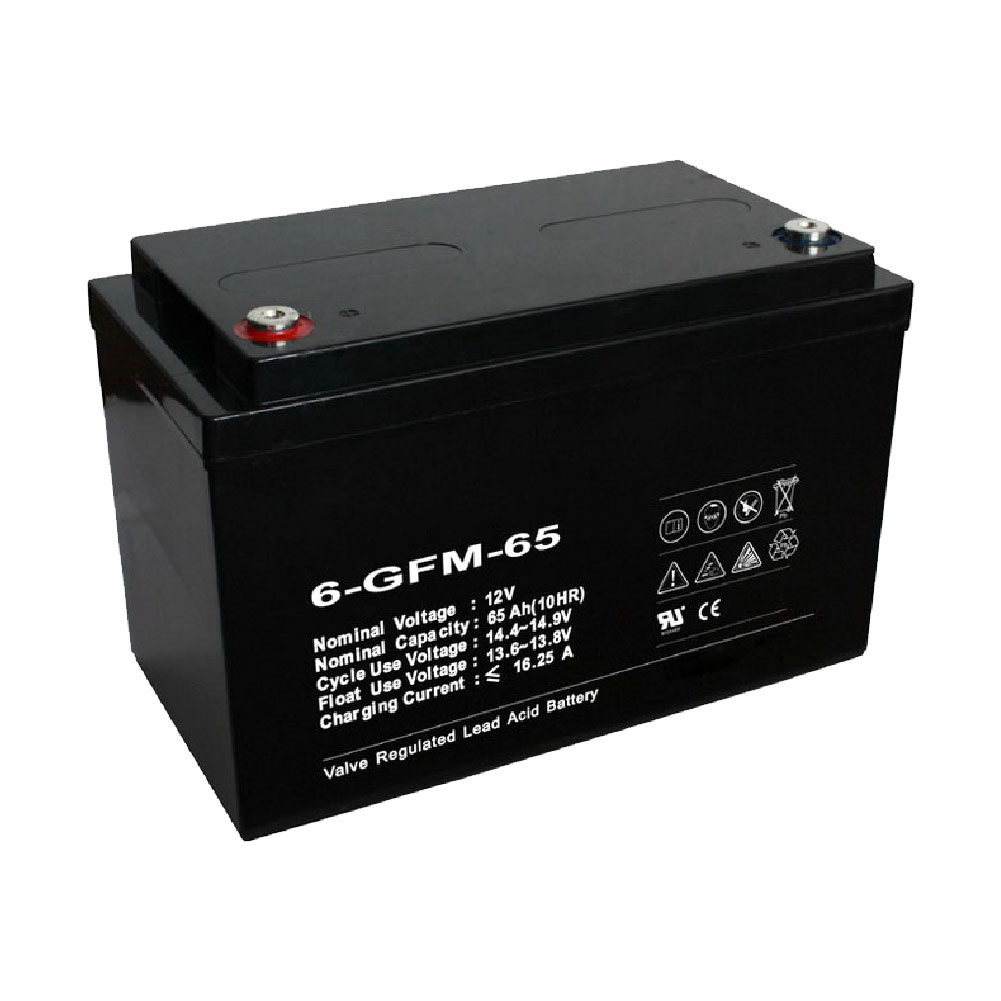 12V-65AH-GEL-Best-Aa-Rechargeable-Battery-Charger1